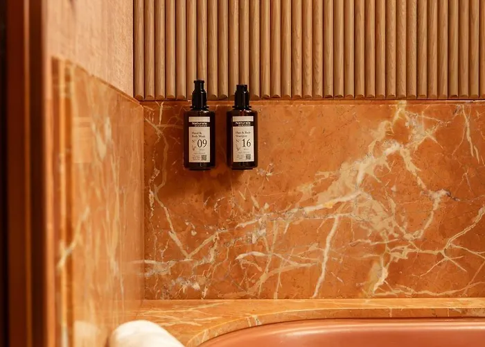 Palacio Bellas Artes San Sebastian, Curio Collection Hilton 酒店